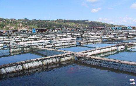 德瑞亞空壓機(jī)助力淡水養(yǎng)殖，營造和諧水產(chǎn)市場